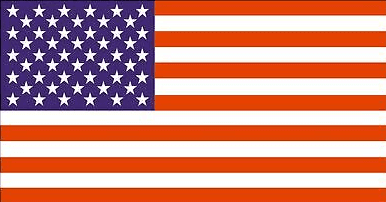 Picture of US flag