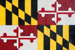 Picture of Maryland flag